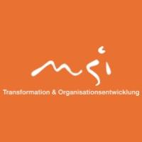 msi Management Systems International AG