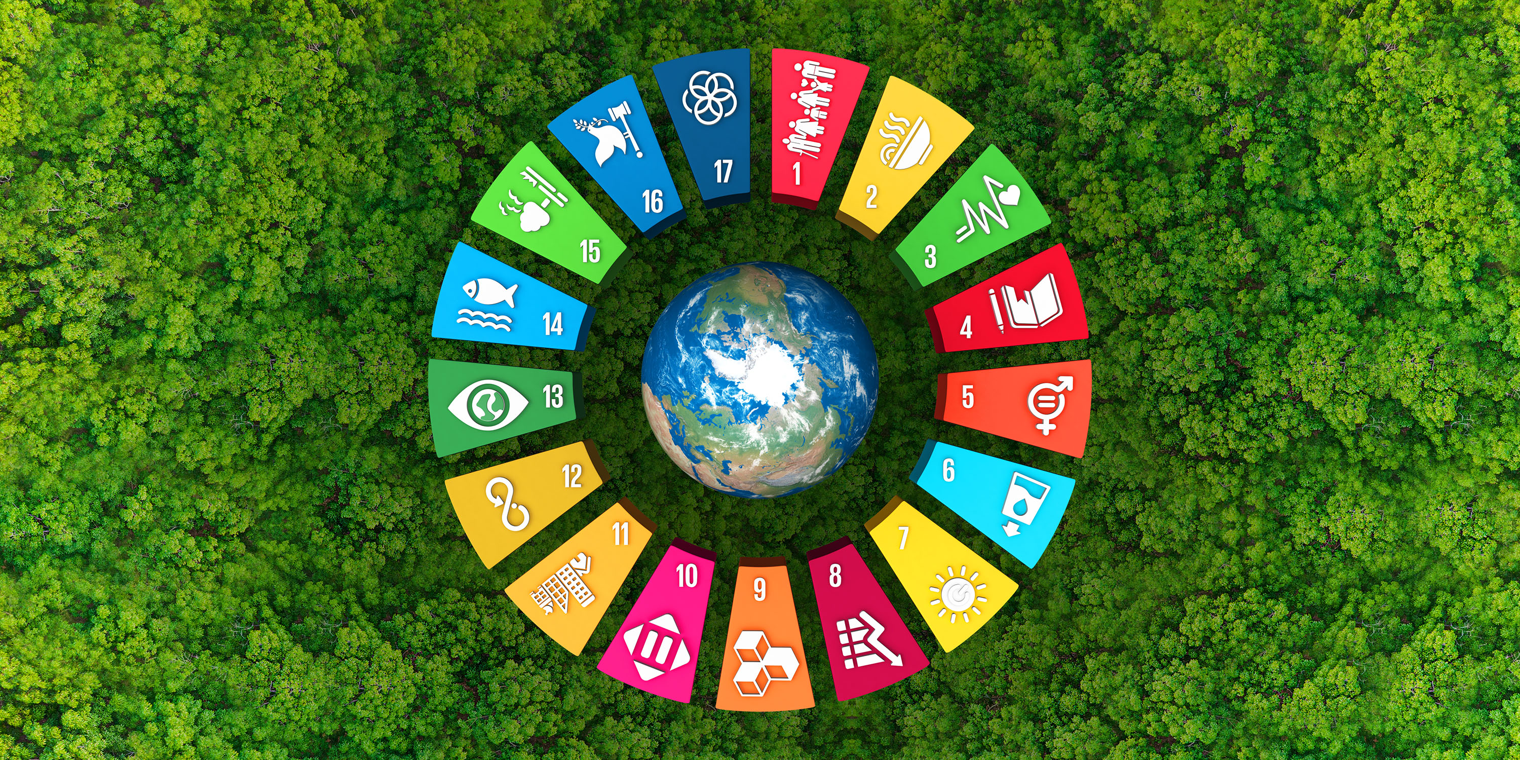 Sustainable Development Goals für KMU